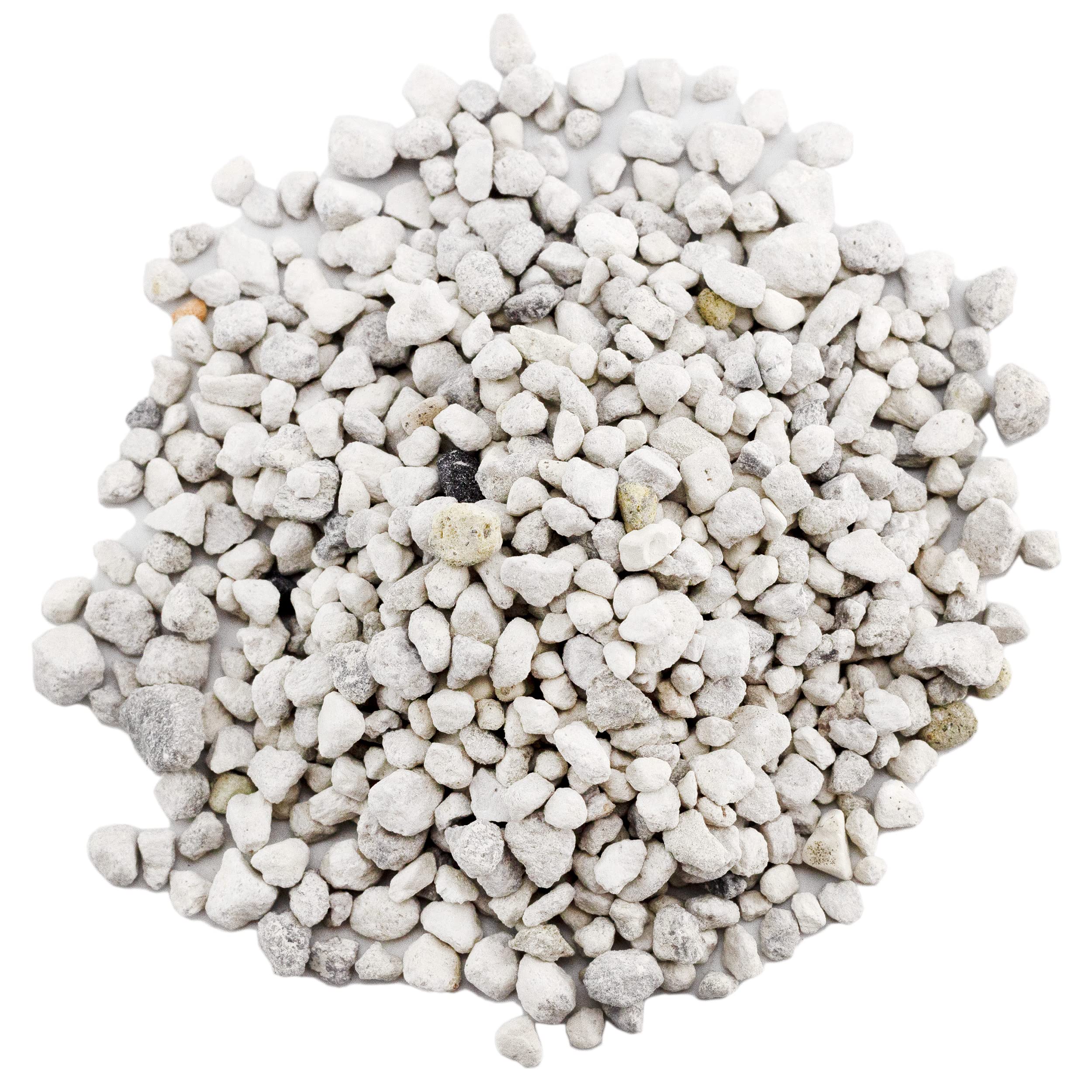 Rio Hamza Trading pumice supports cactus care with improved drainage during indoor watering.