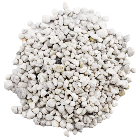 Rio Hamza Trading pumice supports cactus care with improved drainage during indoor watering.