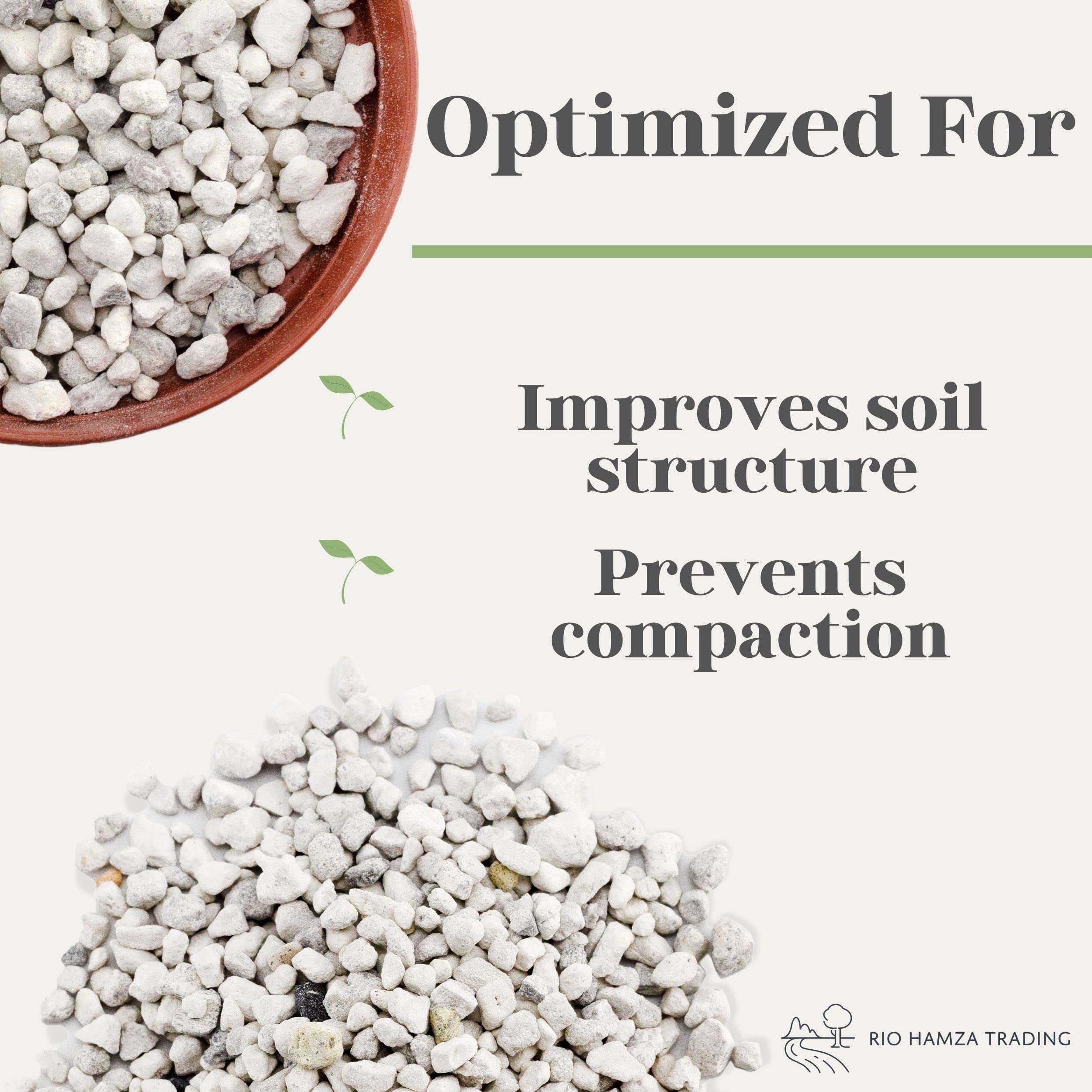 Rio Hamza Trading ready-to-use pumice simplifies bonsai and cactus potting projects.