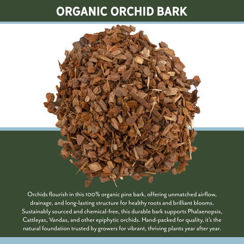 Rio Hamza Trading bark suitable for Vanda and Phalaenopsis species.