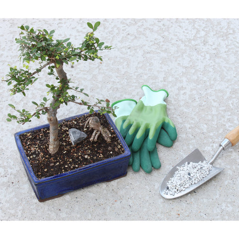 Rio Hamza Trading white pumice closeup shows uniform particles ideal for bonsai soil mixes.