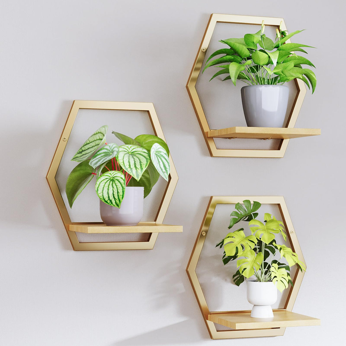 Rioneta golden hexagon wall planter set with plants for vertical home decor
