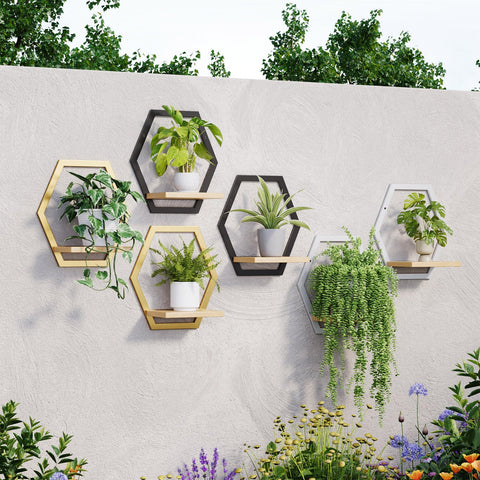 Rioneta minimalist wall display complements contemporary decor and natural wood warmth.