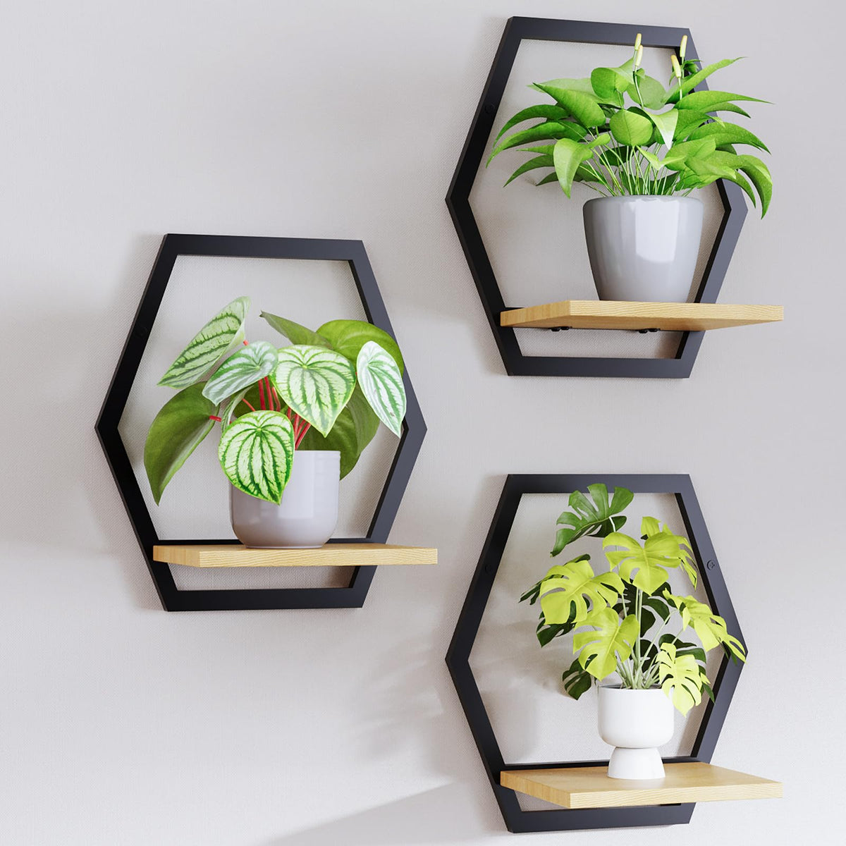 Rioneta modern black hexagon wall planters set of 3 displaying succulents in a stylish vertical wall display