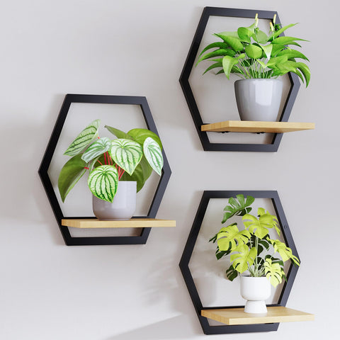 Rioneta modern black hexagon wall planters set of 3 displaying succulents in a stylish vertical wall display
