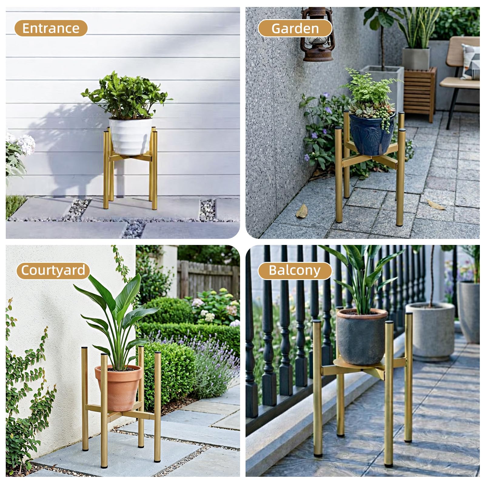 Rioneta ideal for snake plants and fiddle leaf figs.