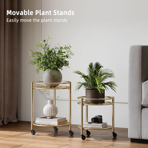 Rioneta rolling plant stand with locking casters keeps plants secure while moving.