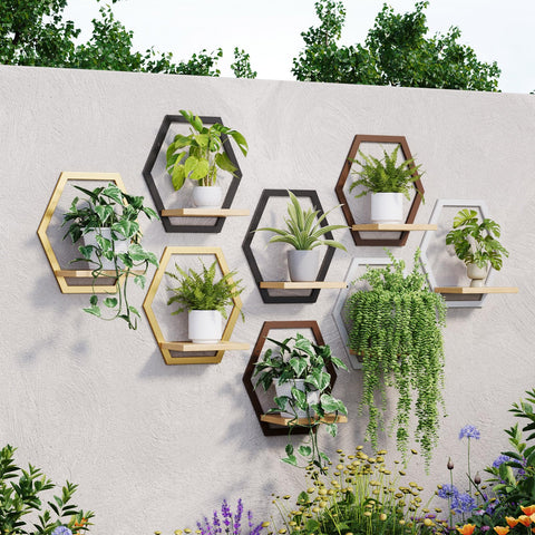 Rioneta vertical plant display creates stylish indoor focal point.