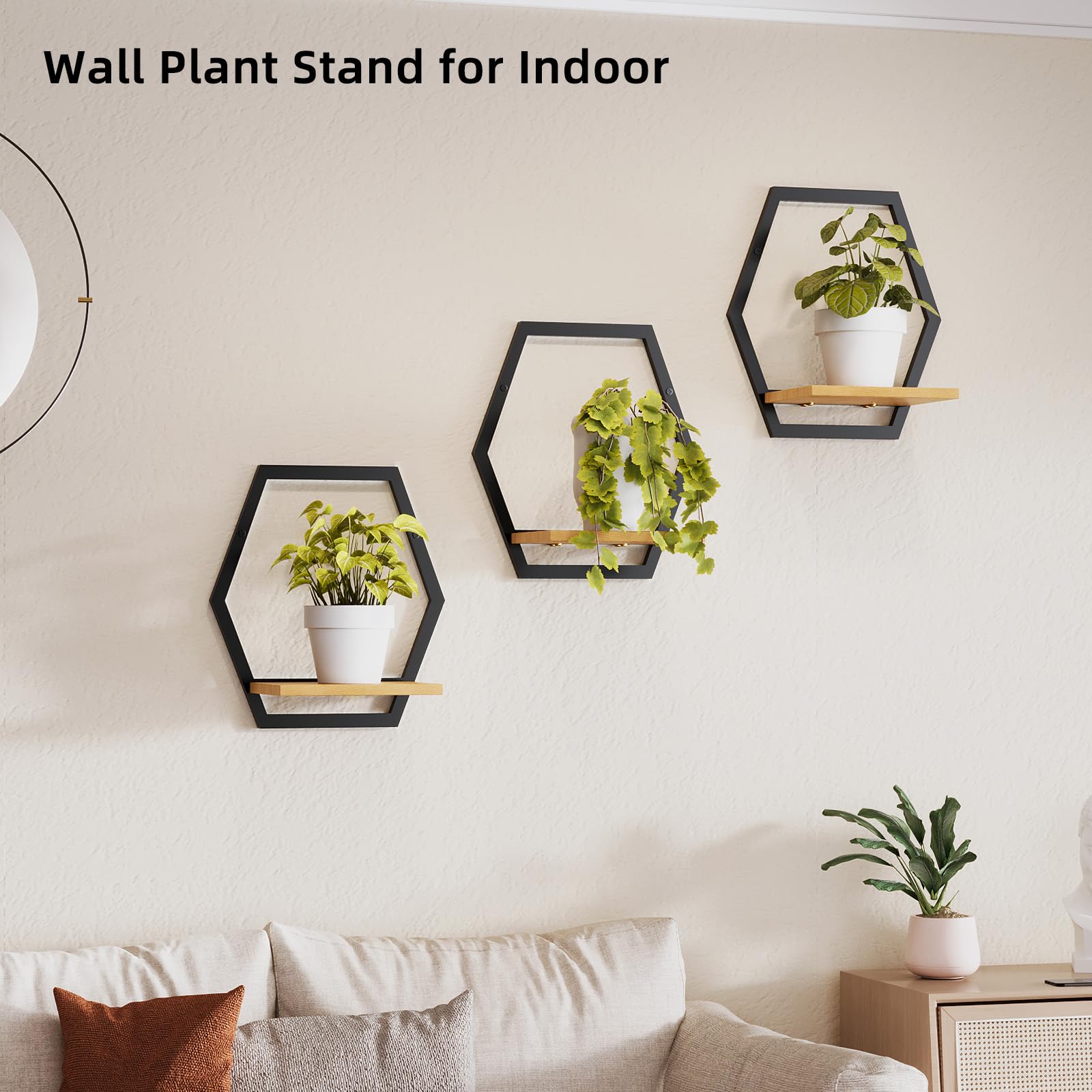 Rioneta wall-mounted shelves nine-inch solid wood display sturdy small plants and decor