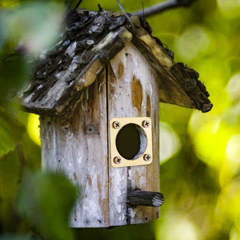 Ripeng copper portal close-up showing durable guardian for bluebird homes.