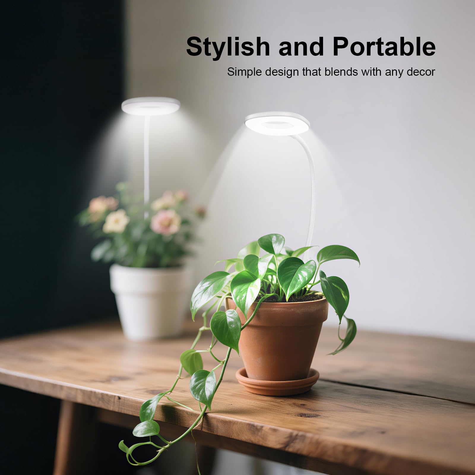 RIRIBEN ideal for indoor desks and plant stands