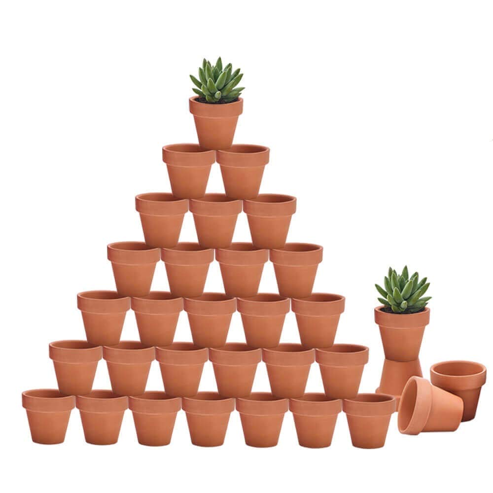Riseuvo 32pcs 2in mini terracotta pot set for compact indoor displays