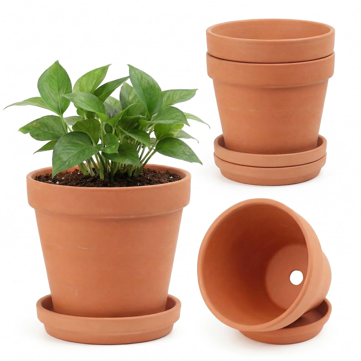 Riseuvo 6-inch terracotta pot with saucer for stable drainage and stylish indoor display