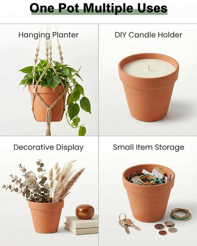 Riseuvo herb cuttings pot 2in for compact herb gardens