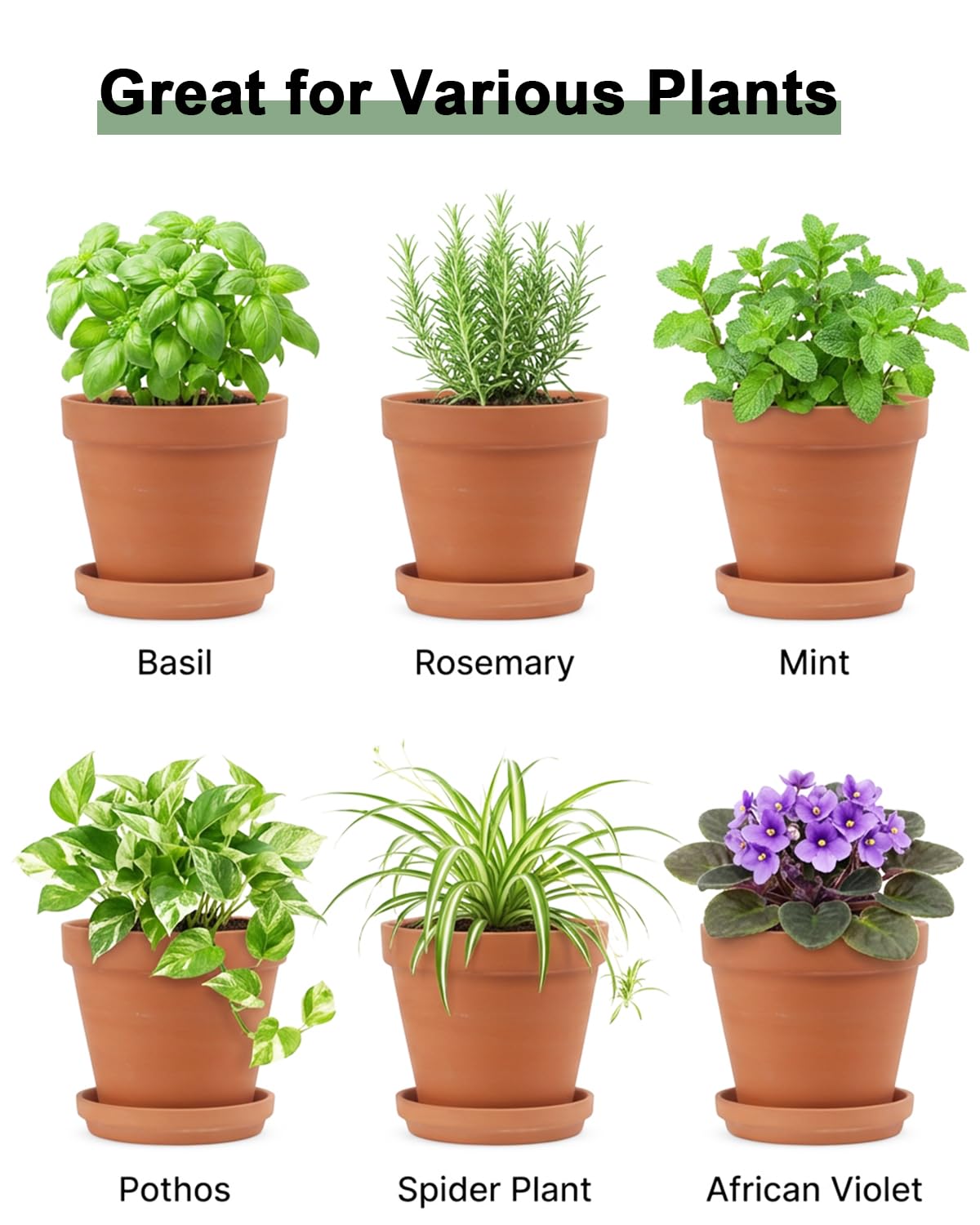 Riseuvo pots offer multi-use options from plants to crafts and favors.