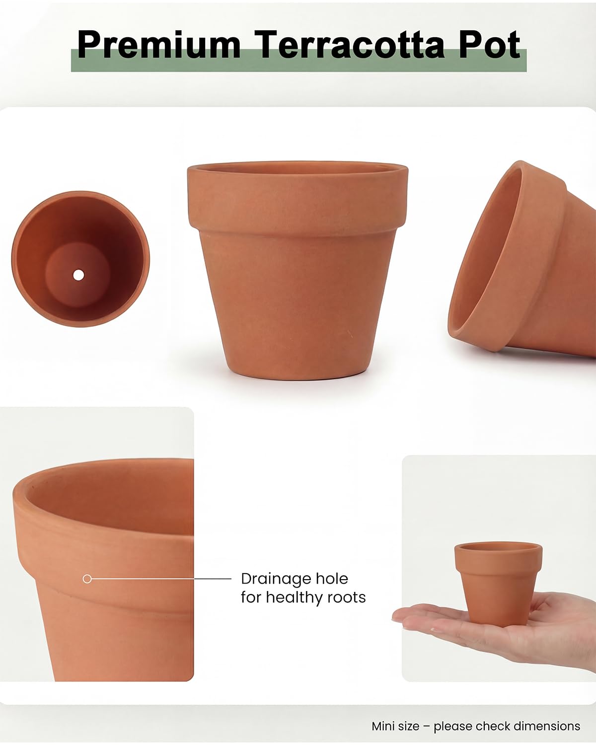 Riseuvo propagate succulent cactus pot for easy propagation