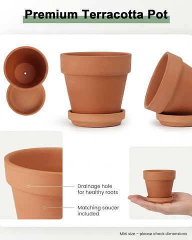Riseuvo succulent pot with drainage hole supports healthy roots and water control.