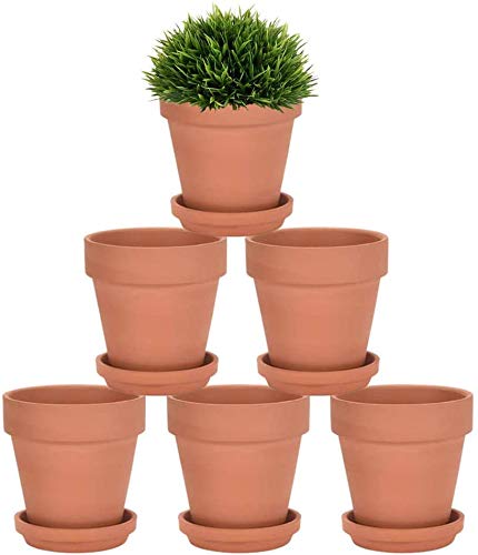 Riseuvo 5-inch terracotta pot with saucer for indoor plants and events.