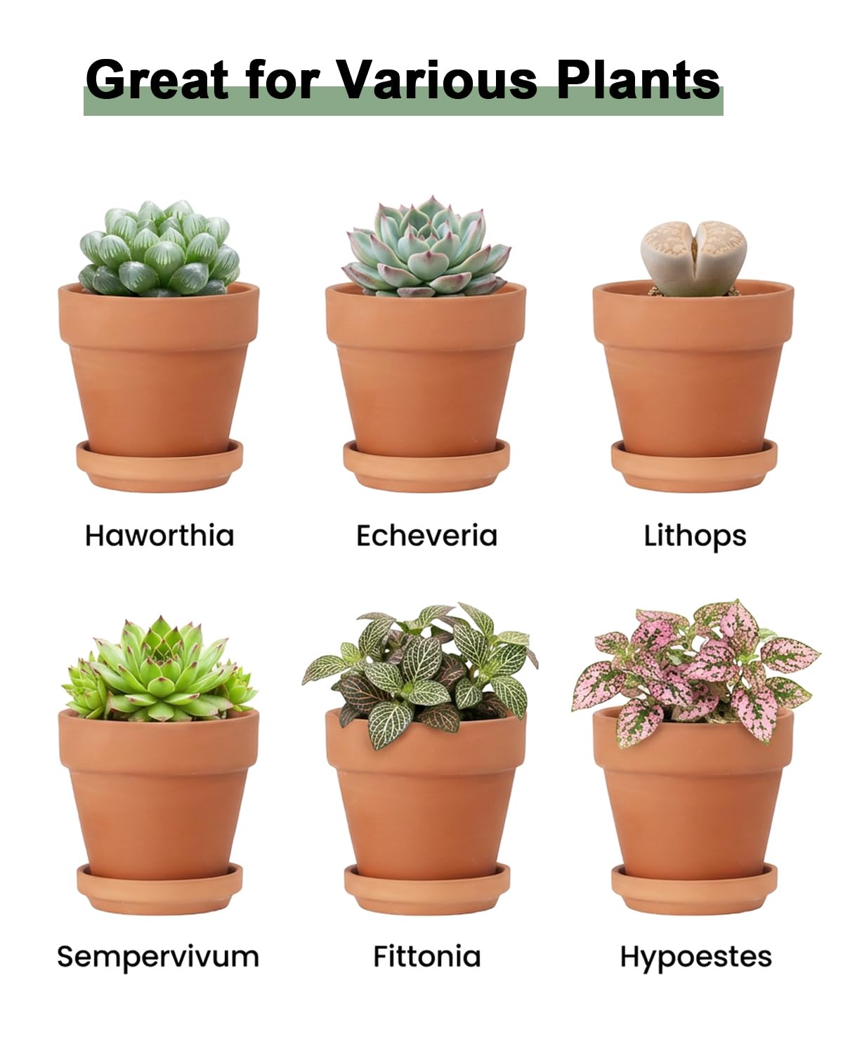  Riseuvo terracotta pots make charming wedding favors and giftable garden accents.