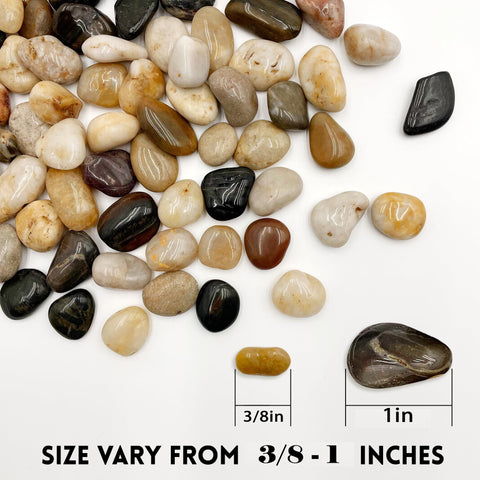 Ritollo River Rocks aquarium terrarium decor creates safe, natural underwater and land habitats.