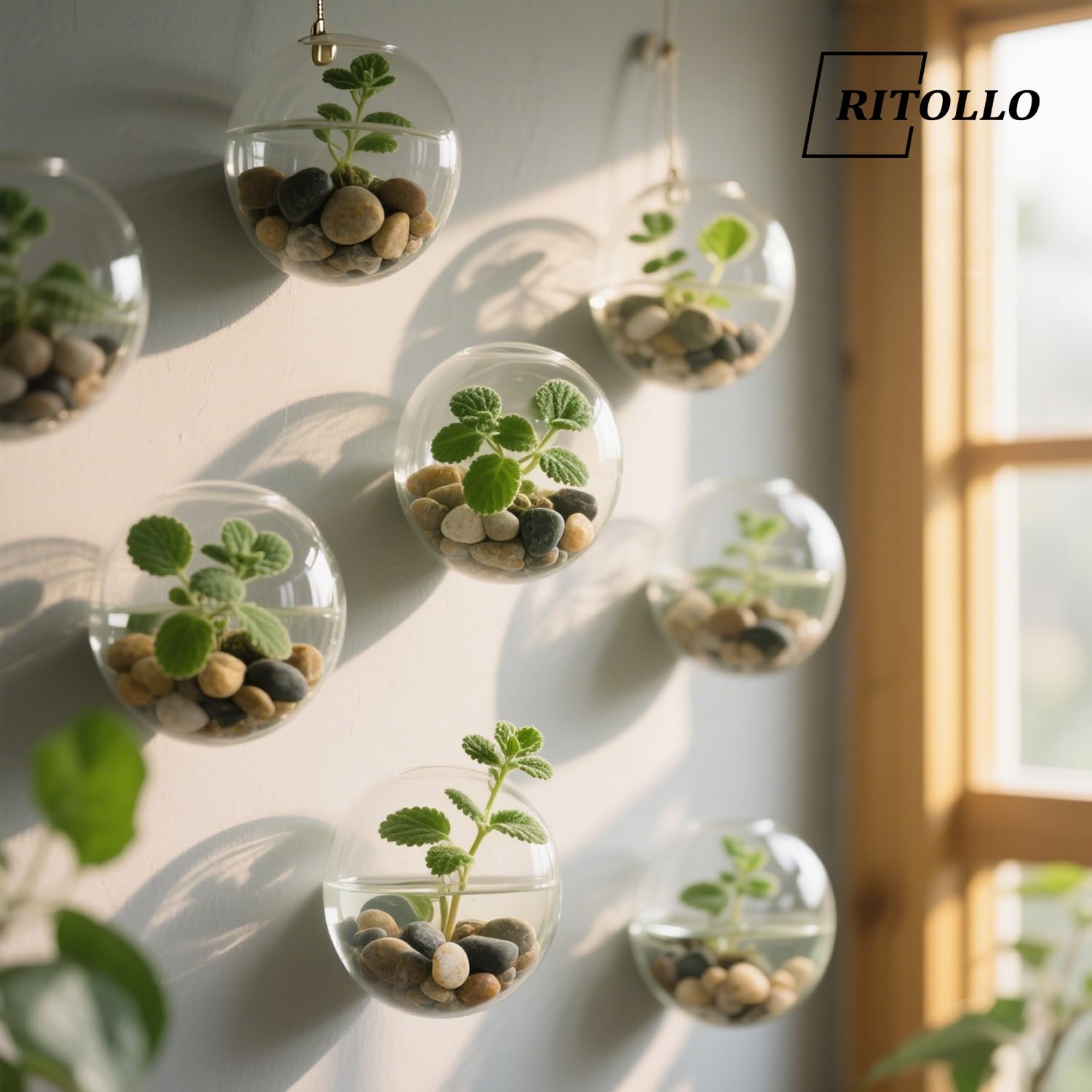 Ritollo River Rocks decorative plant cover keeps soil visible while improving drainage.