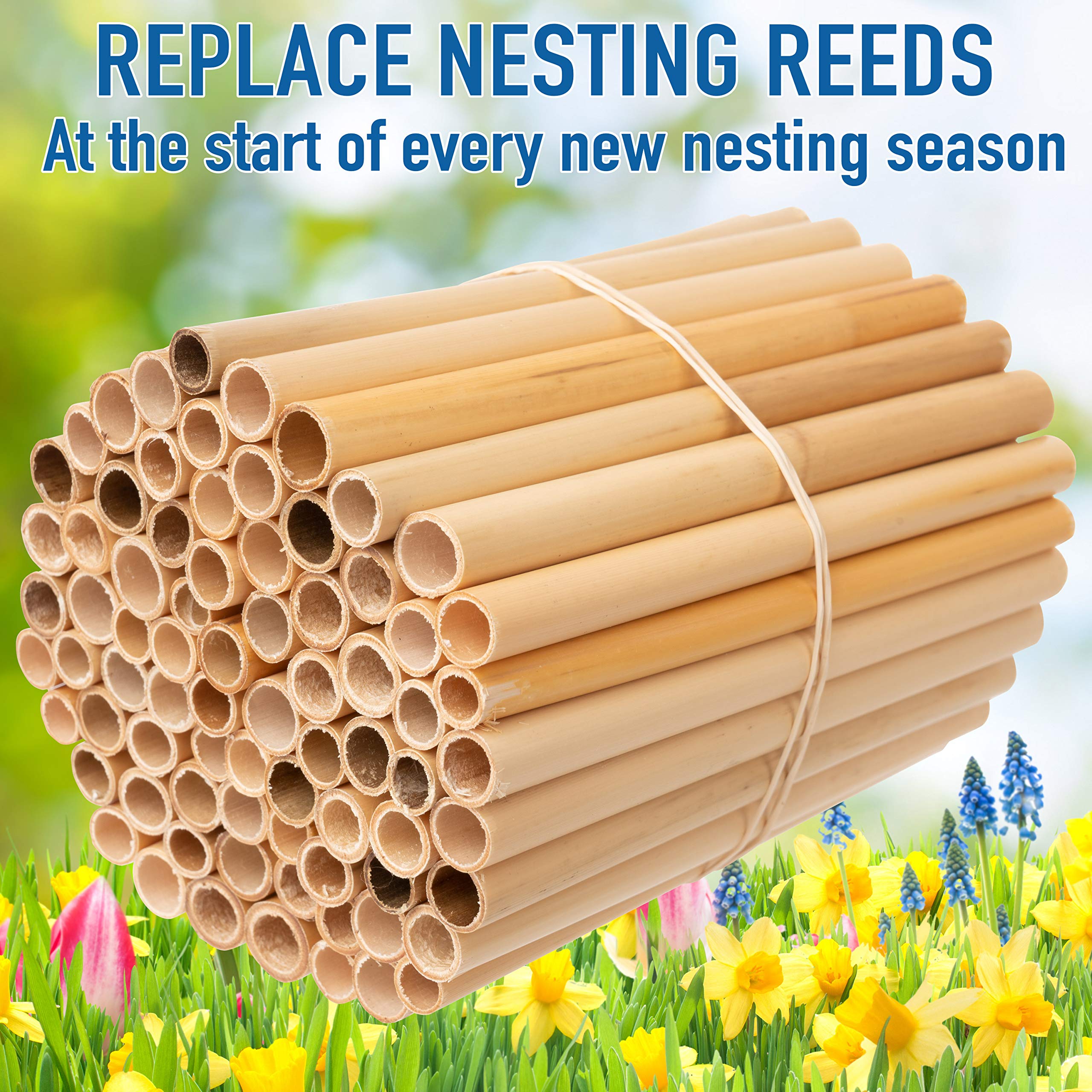 Rivajam mason bee tubes support multiple nesting options.