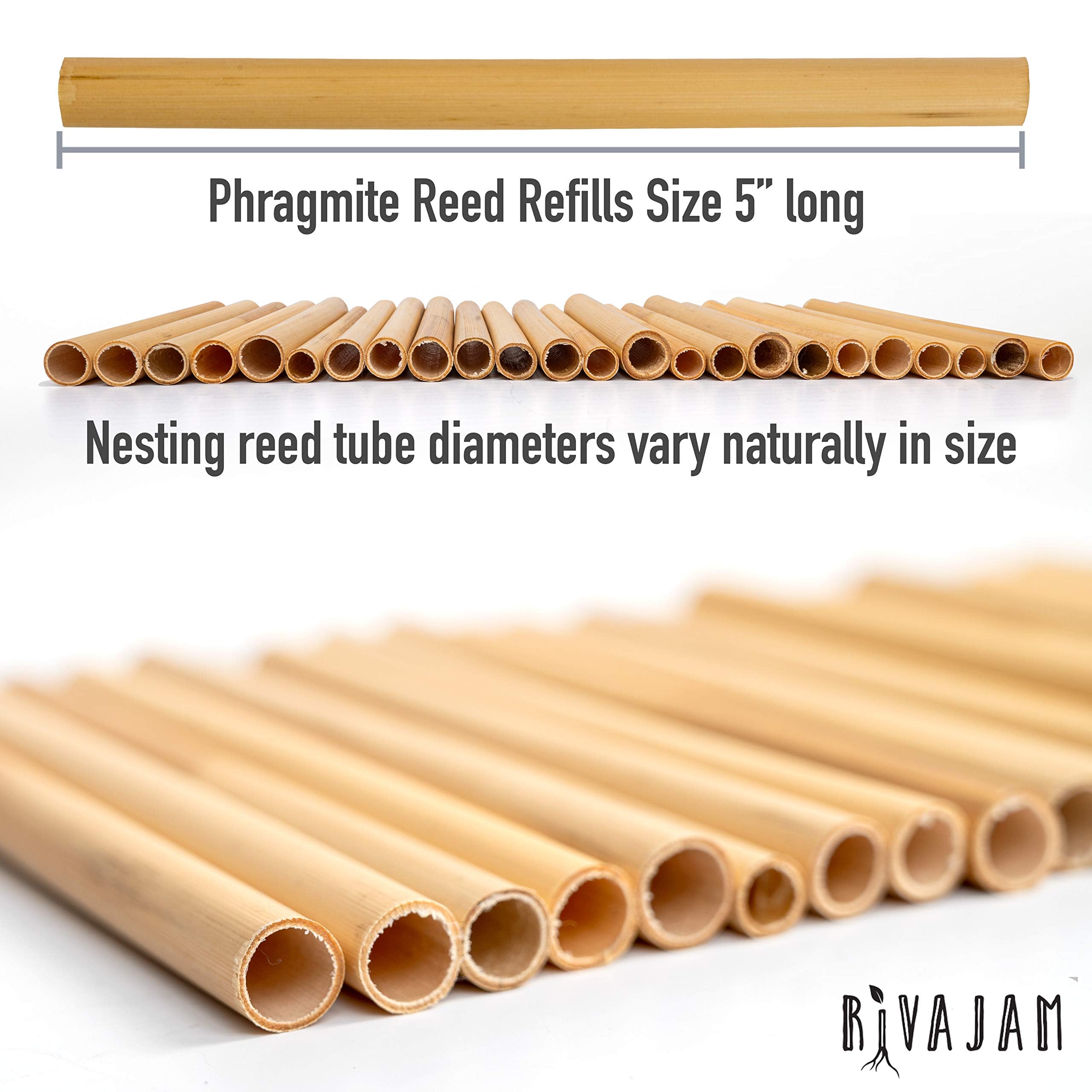 Rivajam reed tubes allow gentle larvae inspection.