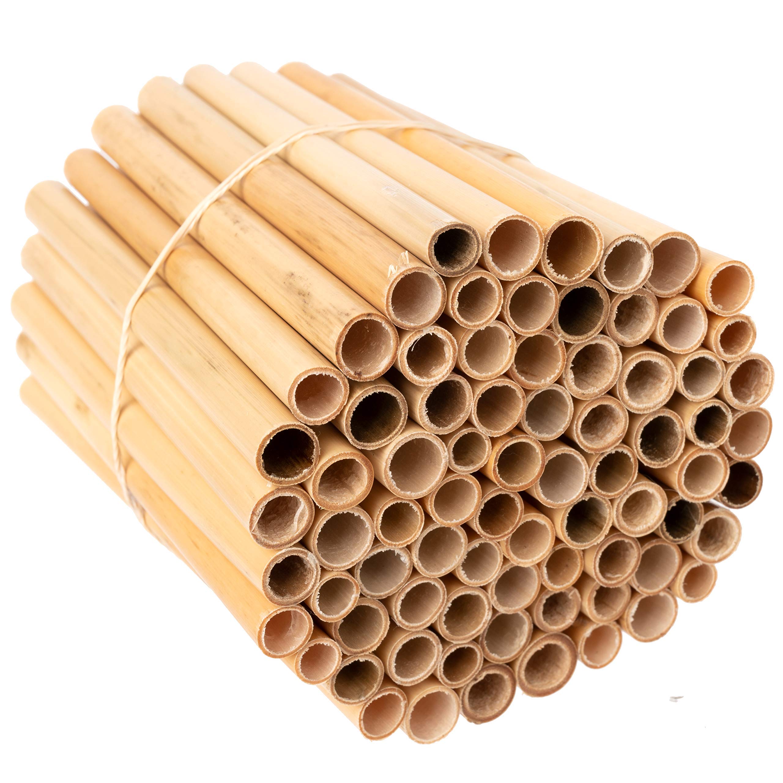 Rivajam tubes promote pollinator activity in home gardens.