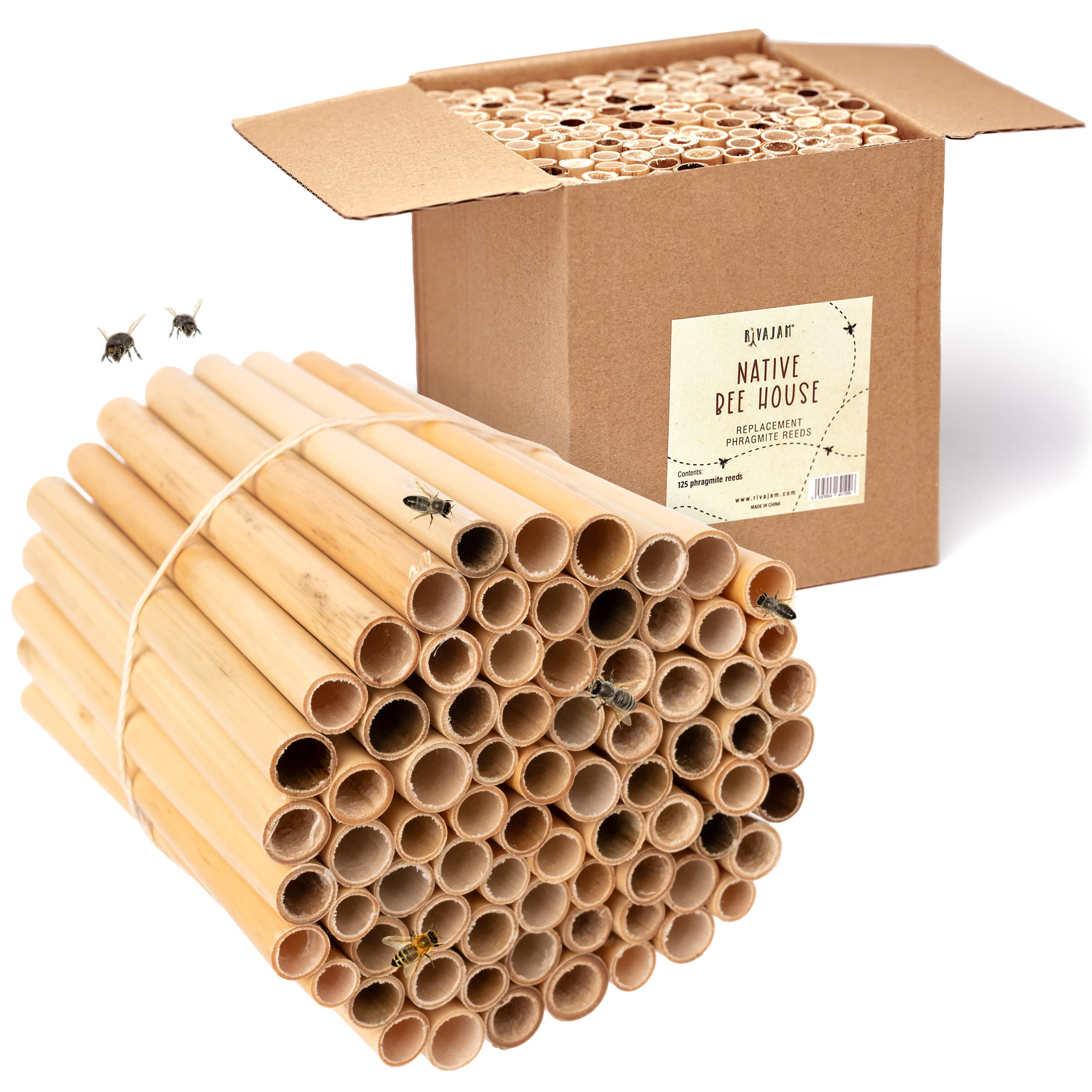 Rivajam 125 Phragmite reed tubes packaging for easy inspection and setup.