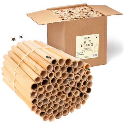 Rivajam 125 Phragmite reed tubes packaging for easy inspection and setup.