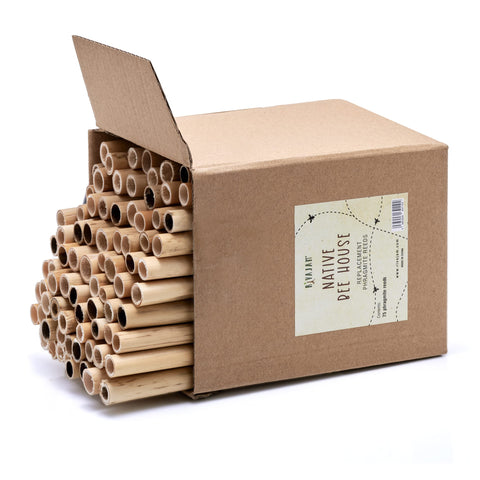 Rivajam tubes designed to balance male and female larvae in the hive
