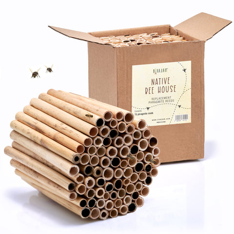 Rivajam 75 Phragmite Reed tubes packaged for garden kits and easy storage