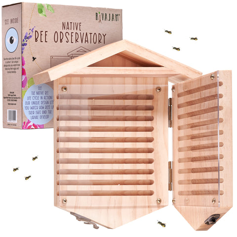 Rivajam Native Bee Observatory with viewing panel for observing bee life cycles.