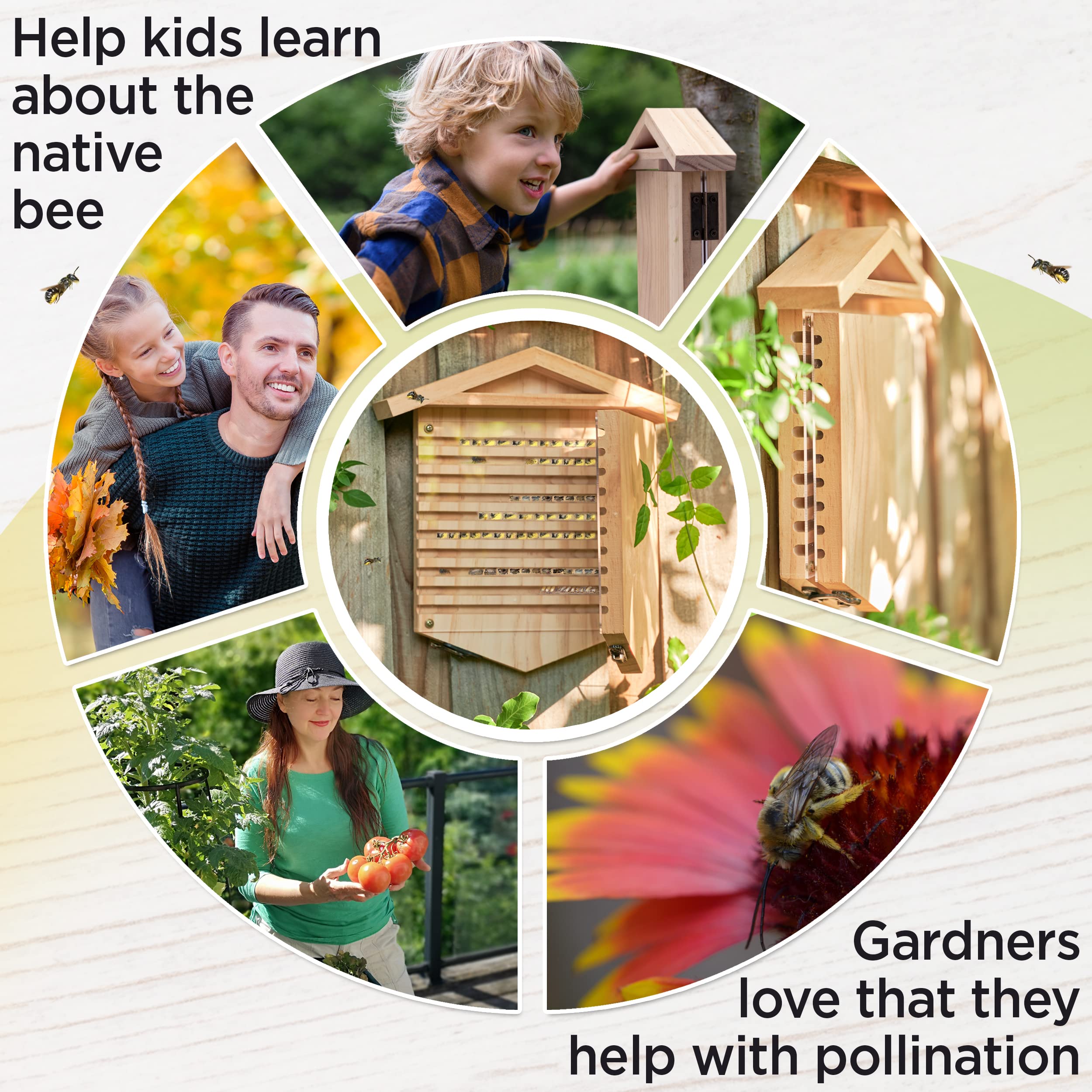 Rivajam Pollinator houses with back hooks for secure yard mounting.
