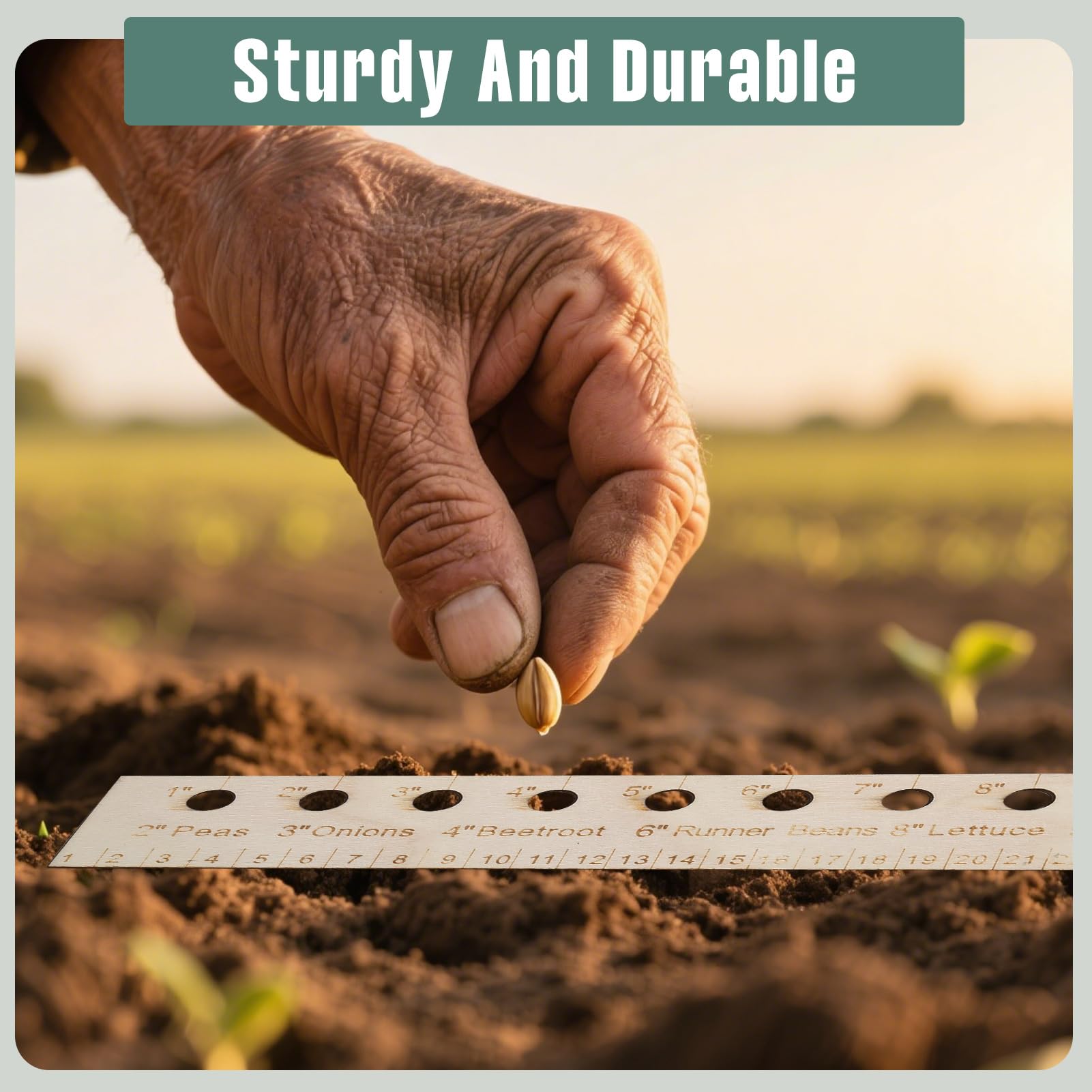 RJLCTH Seed Spacers Garden Rowing highlights versatility for veggies, herbs, and flowers.