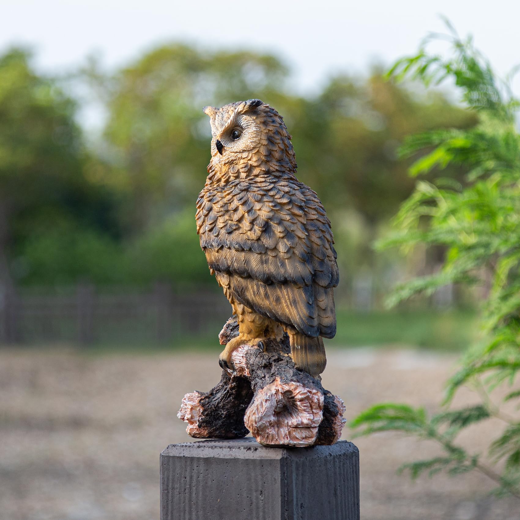 RKGOMDMU owl deters birds naturally when placed by beds