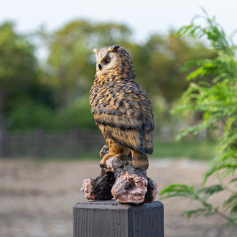 RKGOMDMU owl deters birds naturally when placed by beds
