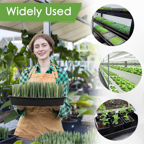 RMBHM beginner-friendly garden kit for home growers