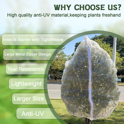 RMBHM 10x10ft nets offer versatile crop protection.