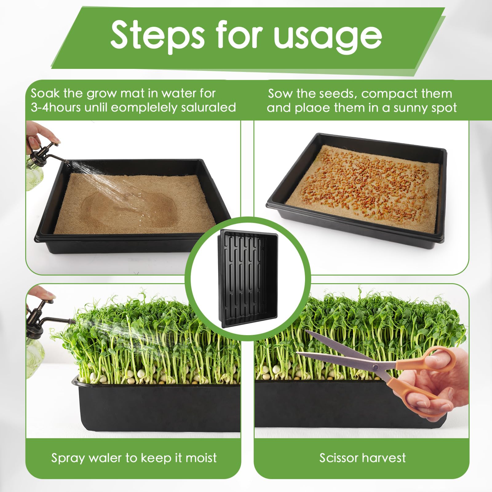 RMBHM indoor microgreens setup arranged on a kitchen counter
