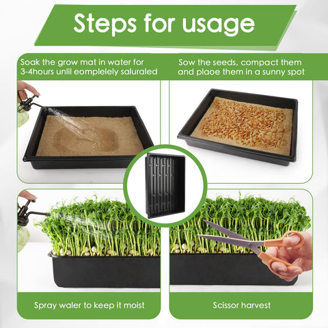 RMBHM indoor microgreens setup arranged on a kitchen counter