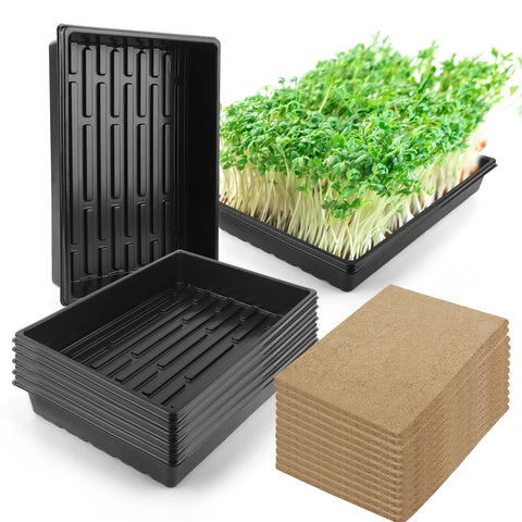 RMBHM microgreens trays kit on a counter showing the 6-pack for indoor growing