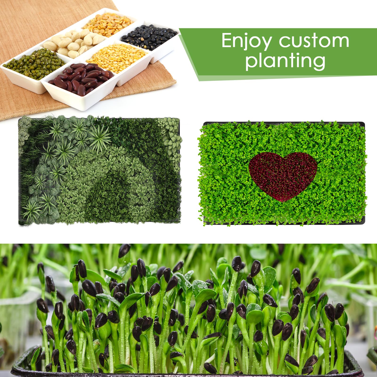 RMBHM seed starter tray with spacious 15x11x2.5 inch dimensions
