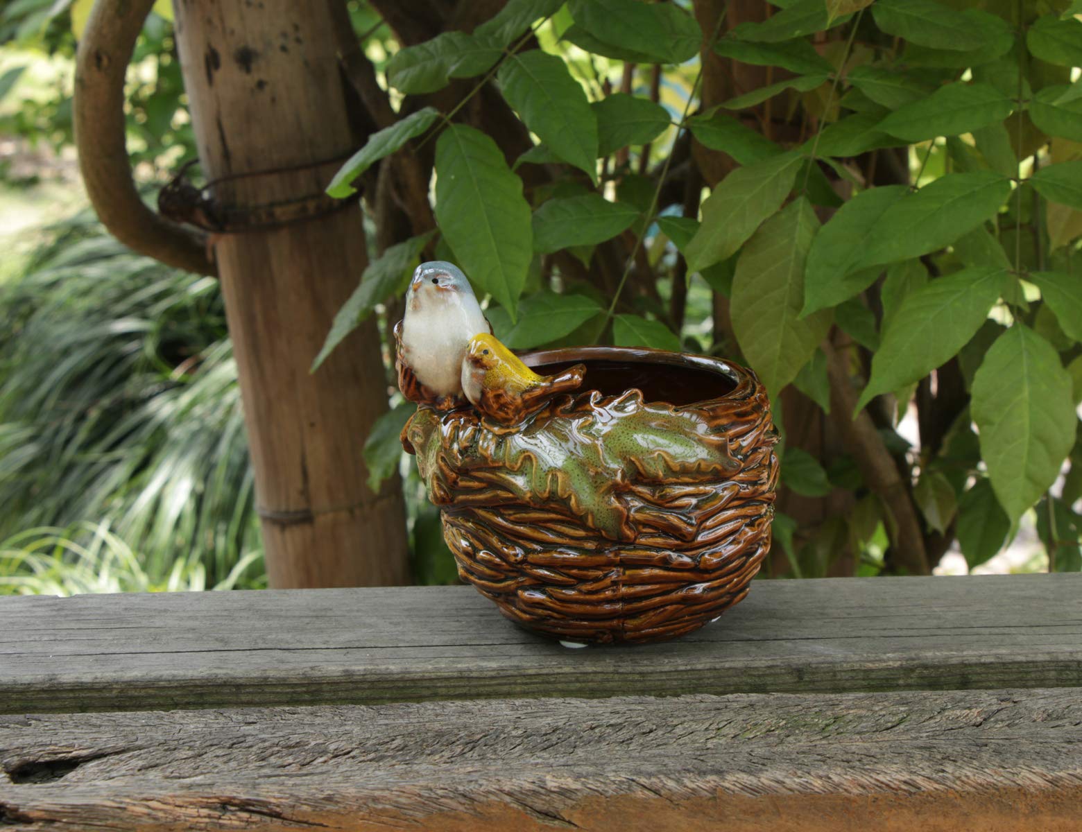Rmdusk bird nest planter ceramic surface shot, ideal for succulents and small plants.