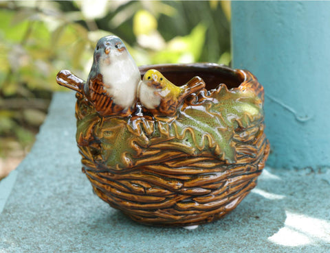 Rmdusk bird nest planter with succulent, shows ready-to-use plant display.