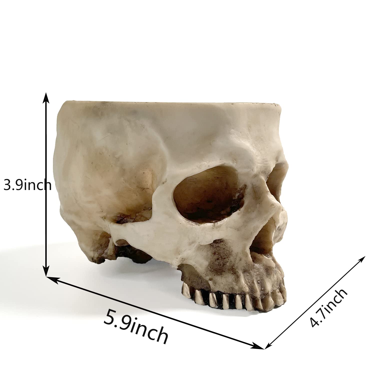 RMM clear skull head planter close-up highlights finish and detail