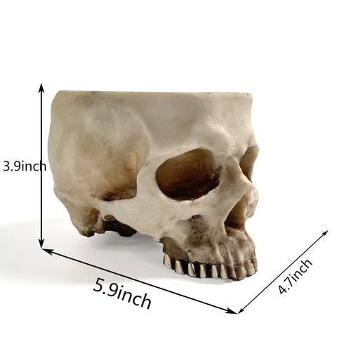 RMM clear skull head planter close-up highlights finish and detail