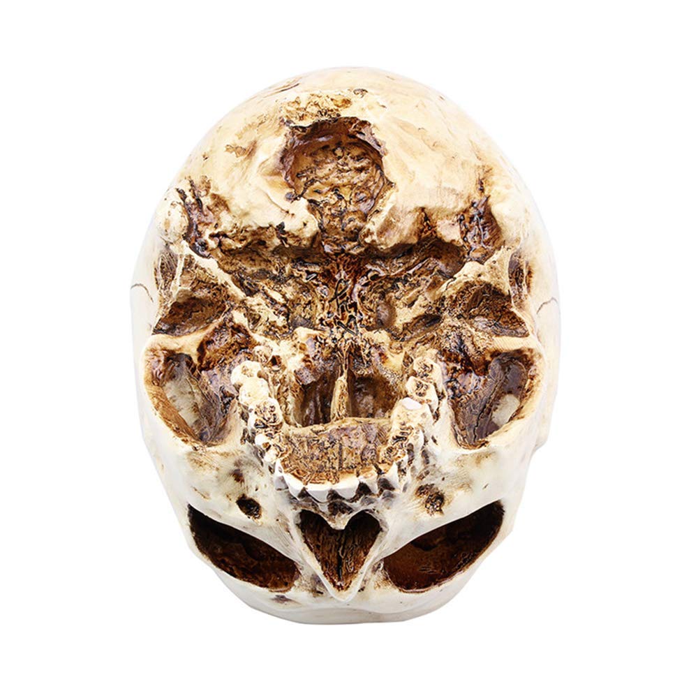 RMM clear skull planter showing plant color through the finish