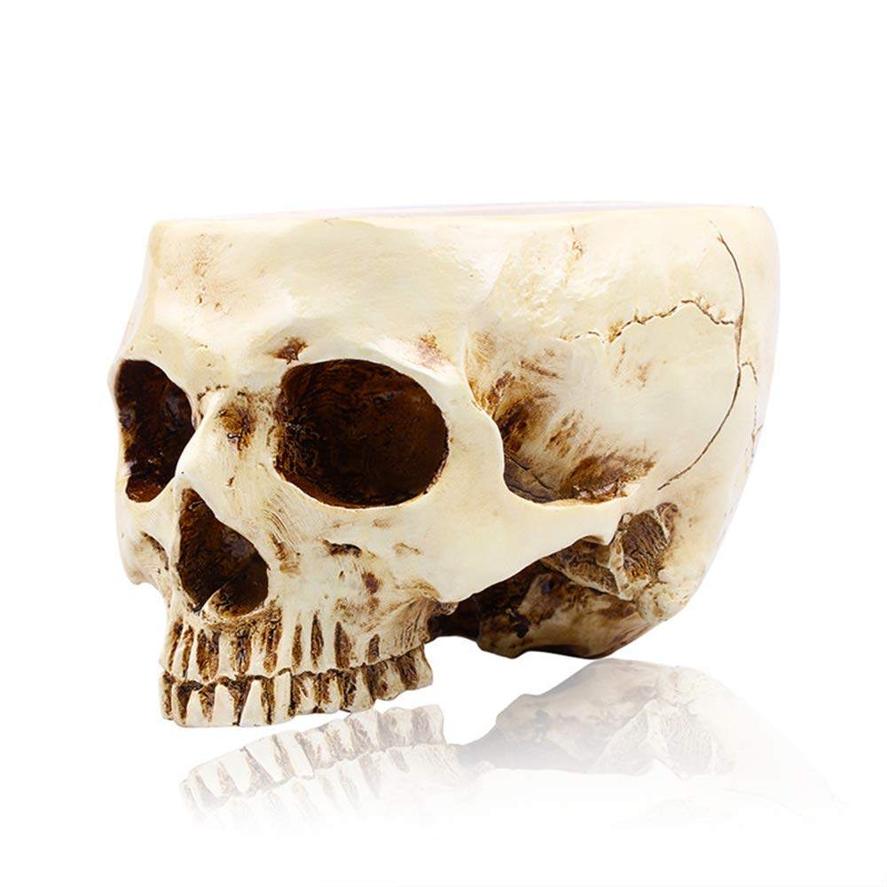 RMM Halloween skull planter viewed from the front, ideal for eerie entryway decor