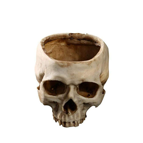 RMM Halloween skull pot on bedside table for seasonal charm